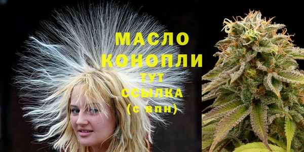 стаф Балахна