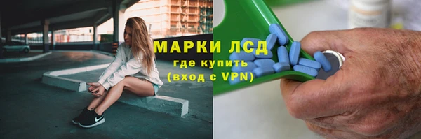 стаф Балахна