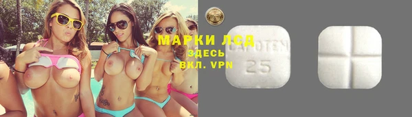стаф Балахна