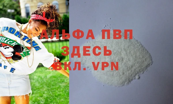 стаф Балахна